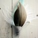 SPRING THAW Boutonniere