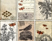 INSTANT DOWNLOAD diGital CoLLaGe Sheet ViNtaGe EpHeMera PaPer rObin BuTTerflieS PriNtaBle VintAge LaBelS FreNch SCriPts StaiNed, No. 26