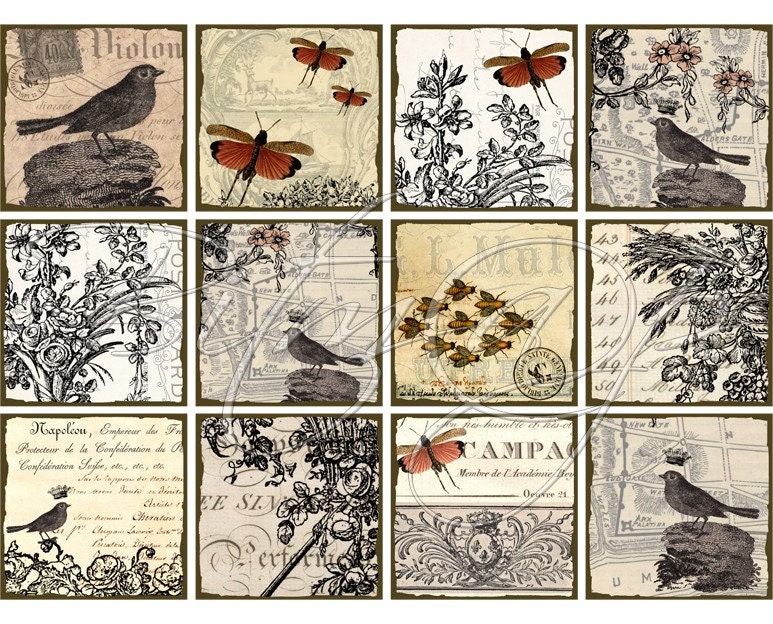 INSTANT DOWNLOAD diGital CoLLaGe Sheet ViNtaGe EpHeMera PaPer rObin BuTTerflieS PriNtaBle VintAge LaBelS FreNch SCriPts StaiNed, No. 27