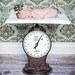 Newborn baby tutu classique perfectly proportioned. Soft ethereal tutu in classic ivory and nursery decoration.