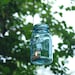 Blue Pint Sized Ball Mason Jar Lantern