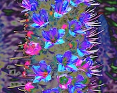 Tower of Jewels Flower - 5 x 5 print