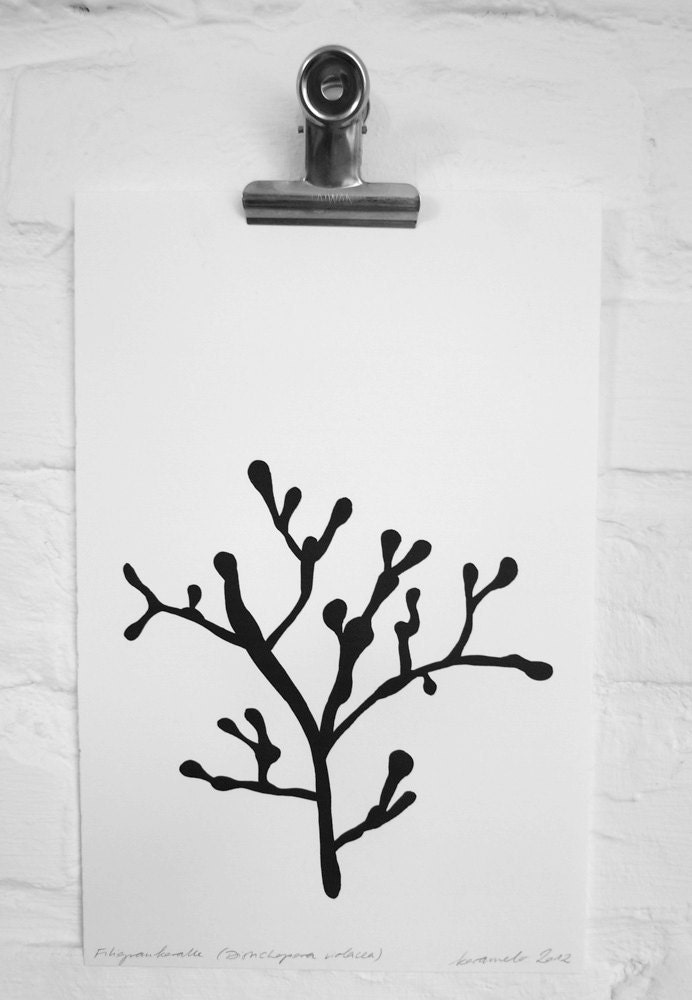 Botanical Print: Coral (Distichopea violacea) on handmade paper