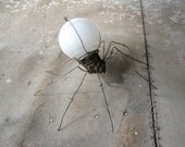 White Lady of Light Spider