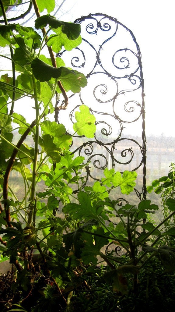Bodacious Barbed Wire Trellis Bristling With Random Spiky Spirals Made to Order
