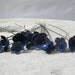 Rustic Blue Metal Blossoms Speckled White Flower Bouquet