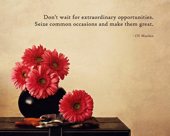 Gerbera Daisies Still Life with Quote - 8x10 Motivational Art - Inspirational Quote - Fine Art Photo - Made in Israel