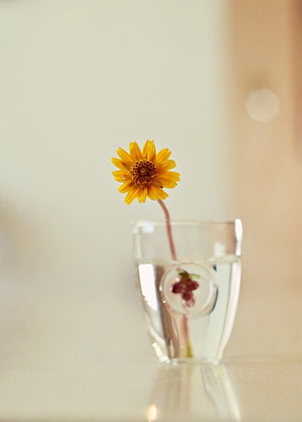 Simplicity - Yellow Flower Photograph, Nature Photography from Israel, Floral Decor, Affordable Home Decor,