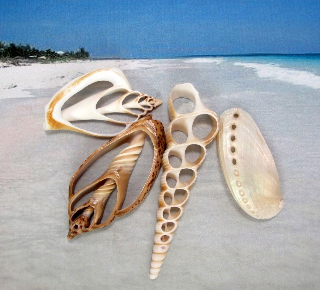 4 beautiful cut shell pendants