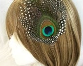 PROMO Peacock feather fascinator - TAMI design - pok a dot feather backing with peacock feather- Choose headband, hair clip or comb