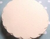 Cream Scallops - 100