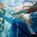 Dive in, float: 11x14" Archival Print - Signed