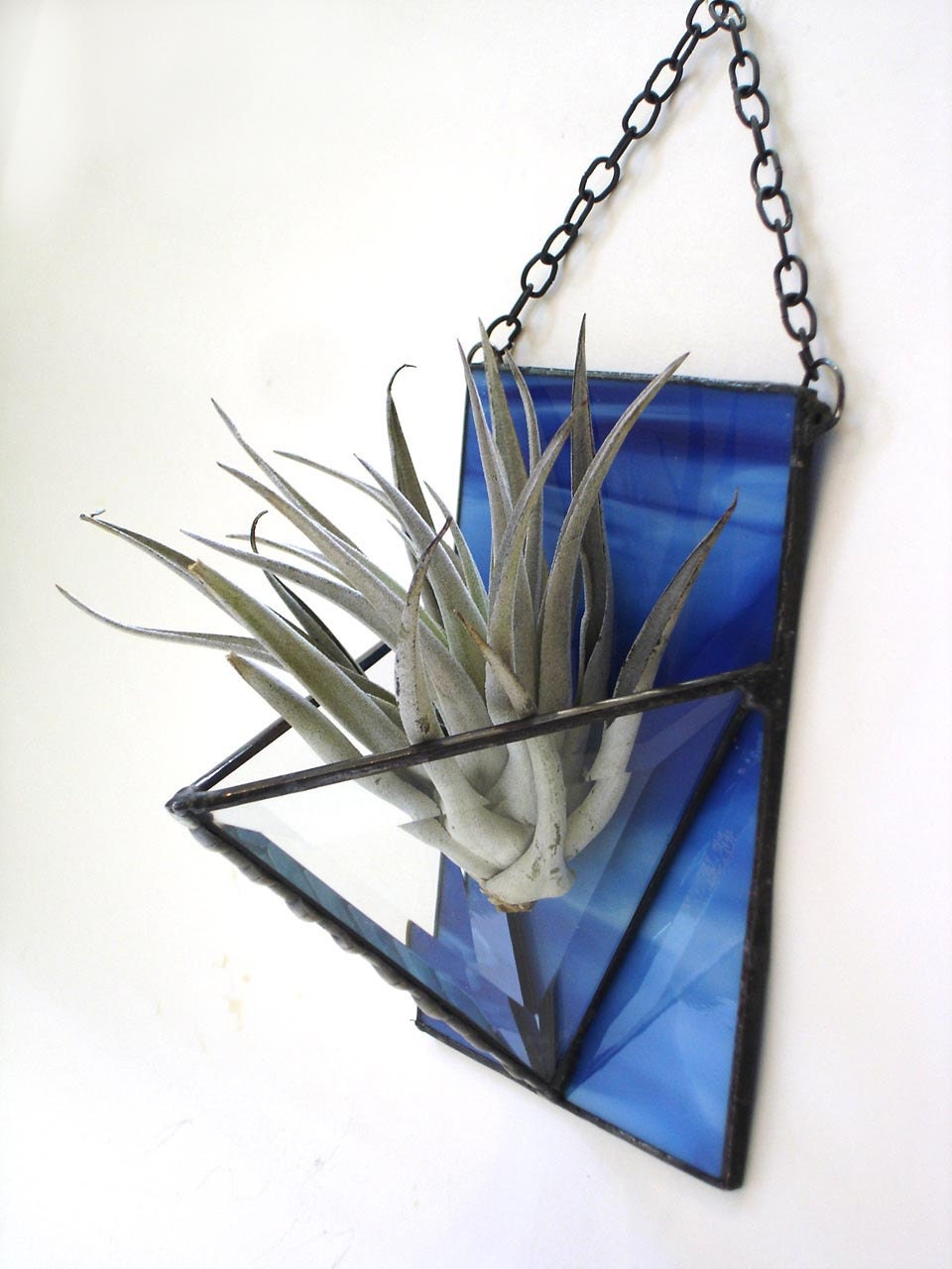 Air plant holder Monaco blue sapphire stained glass wall vase modern home decor indoor garden