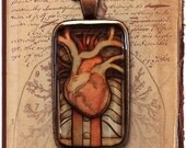 LG - Illustrated Anatomical Heart Pendant in Resin and Copper
