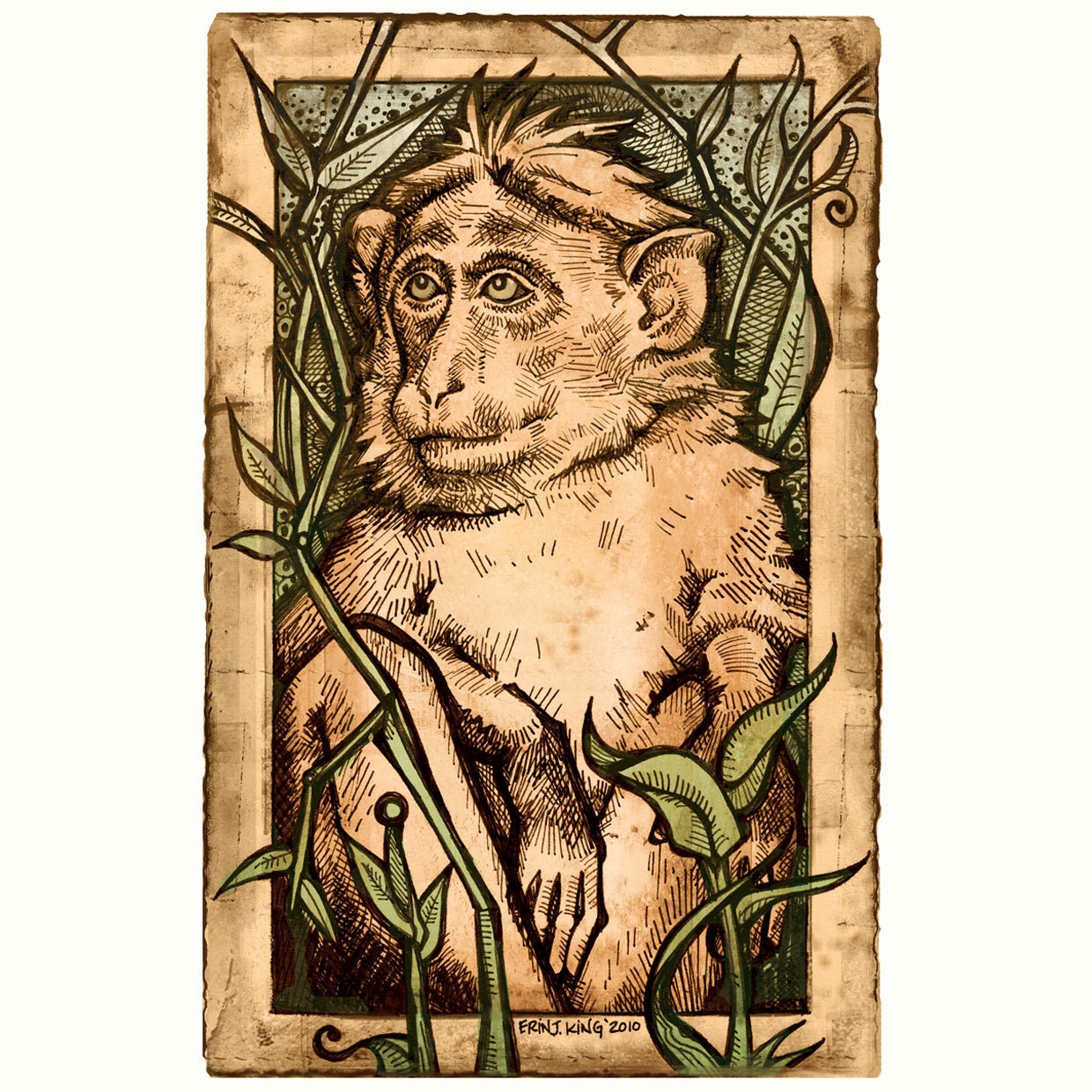The Doo Doo Monkey - Limited Edition Story Book Print - 8 x 10