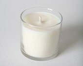 VANILLA BEAN NOEL Soy jar candle - 50hr burn