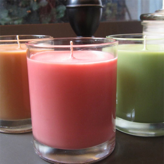APPLE CINNAMON Organic Soy jar candle - 50hr burn