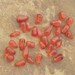 Fiery Carnelian Agate Tiny Smooth Briolettes