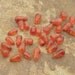 Fiery Carnelian Agate Tiny Smooth Briolettes