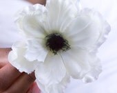 Cream Anemone Hair Clip