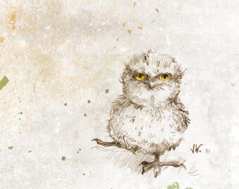 Tawny Frogmouth Chick. Bird. Owl. Fine Art Print from my Original Drawing
