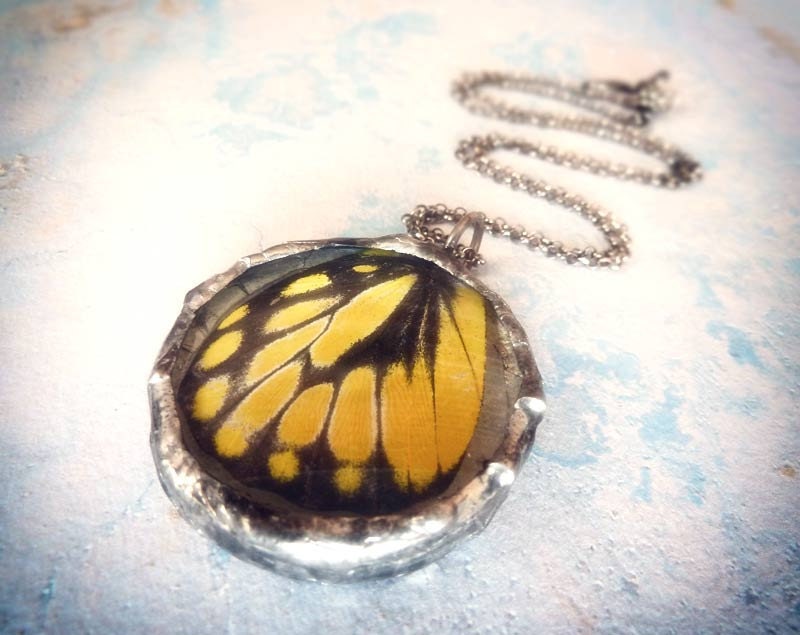 Real Butterfly Wing Necklace. Sterling Silver Chain. Glass Lens. Natural History. Woodland Butterfly Jewelry