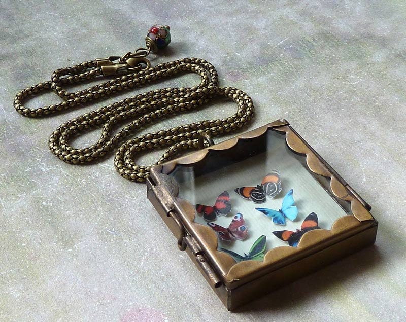 Butterfly Shadowbox Collection Locket Necklace. Natural History. Butterfly Jewelry