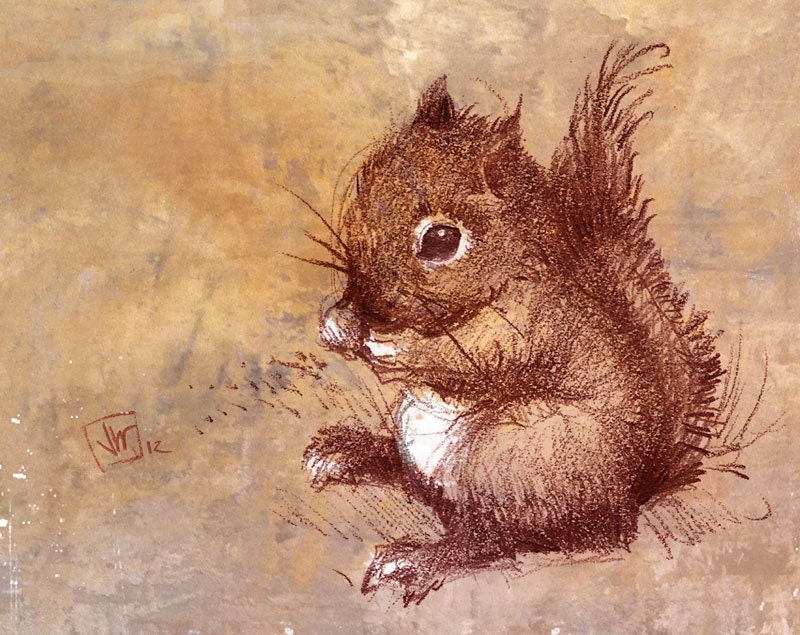 Winston the Little Baby Squirrel Guy. Art Print from My Original Drawing. Woodland. Nursery Art