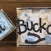 Lil Buckaroo Word Blocks