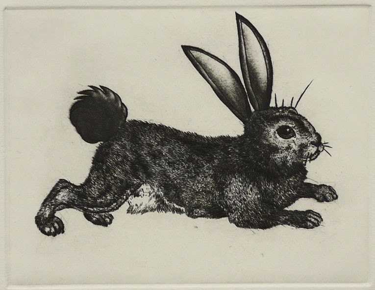 Haigha Bugsy Rabbit