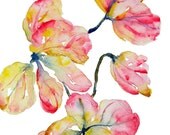 Shower Tree Petals Watercolor,Fine Art  Print 8.5x11, Watercolor Flowers