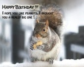 Happy Birthday card - Squirrel w big peanut birthday greeting card - Funny cards cute cards (Ready to ship) 016HB