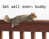 Get Well Soon card - Feel better soon card squirrel greeting card - Cute card funny card (Ready to ship) 017GW