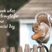 Happy Birthday card - Squirrel birthday greeting card - Cute cards funny cards (Ready to ship) 018HB