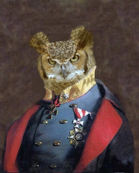 Captain Strigiformes - 8 X 10 Art Print