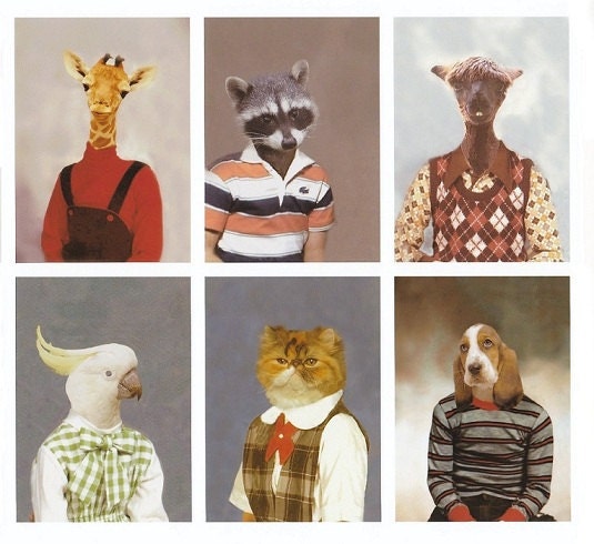 Picture Day Series II, 8  Fine Art Prints - 5 X 7