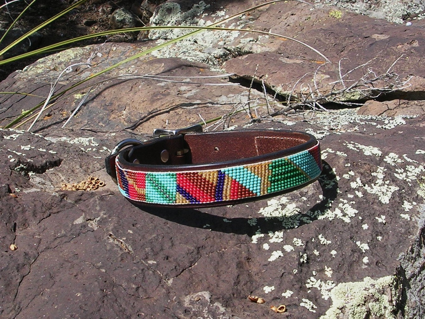 Beaded dog collar