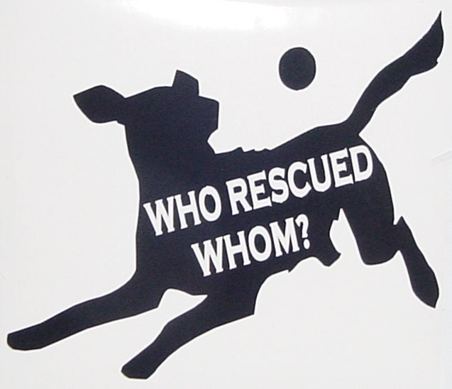 Who Rescued Whom Dog Window Sticker Decal for Pet Rescue Adoption