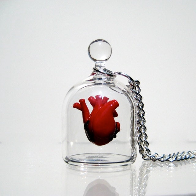 Anatomical Heart Jewelry - Necklace - Heart in a Jar