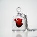 Anatomical Heart Jewelry - Necklace - Heart in a Jar