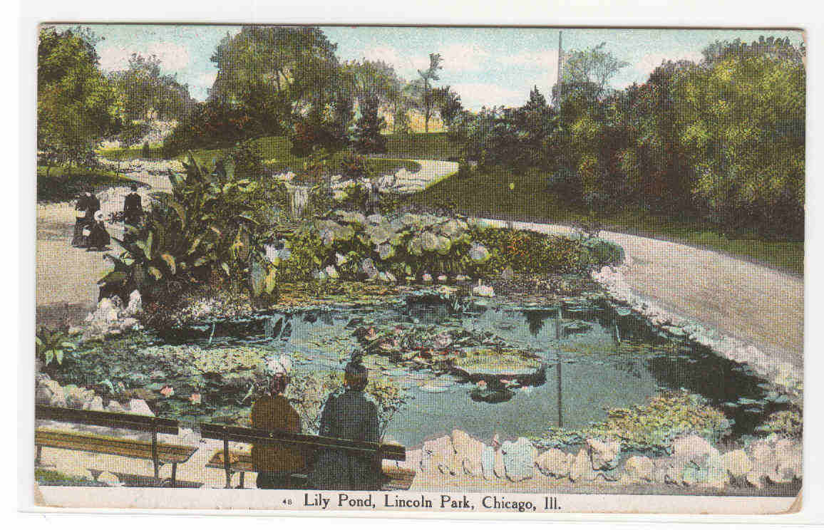 Lily Pond Lincoln Park Chicago Illinois 1909 postcard