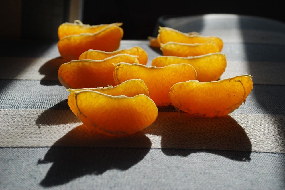 The Life of an Orange 8 x 10 Fine Art Print