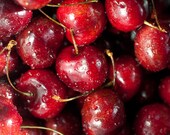 Cherry Photography red vibrant produce kitschy fruit bowl wet cherries water crimson burgundy The pleasure of believing 8x8 square fine art