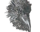 The Reason Why (Raven Head)