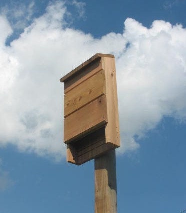 Bat House/ 2 Chamber Cedar Bat House