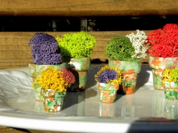 3 assorted Miniature Hand Painted Lichen filled flower pots-Great for my lichen plant stands-No water needed