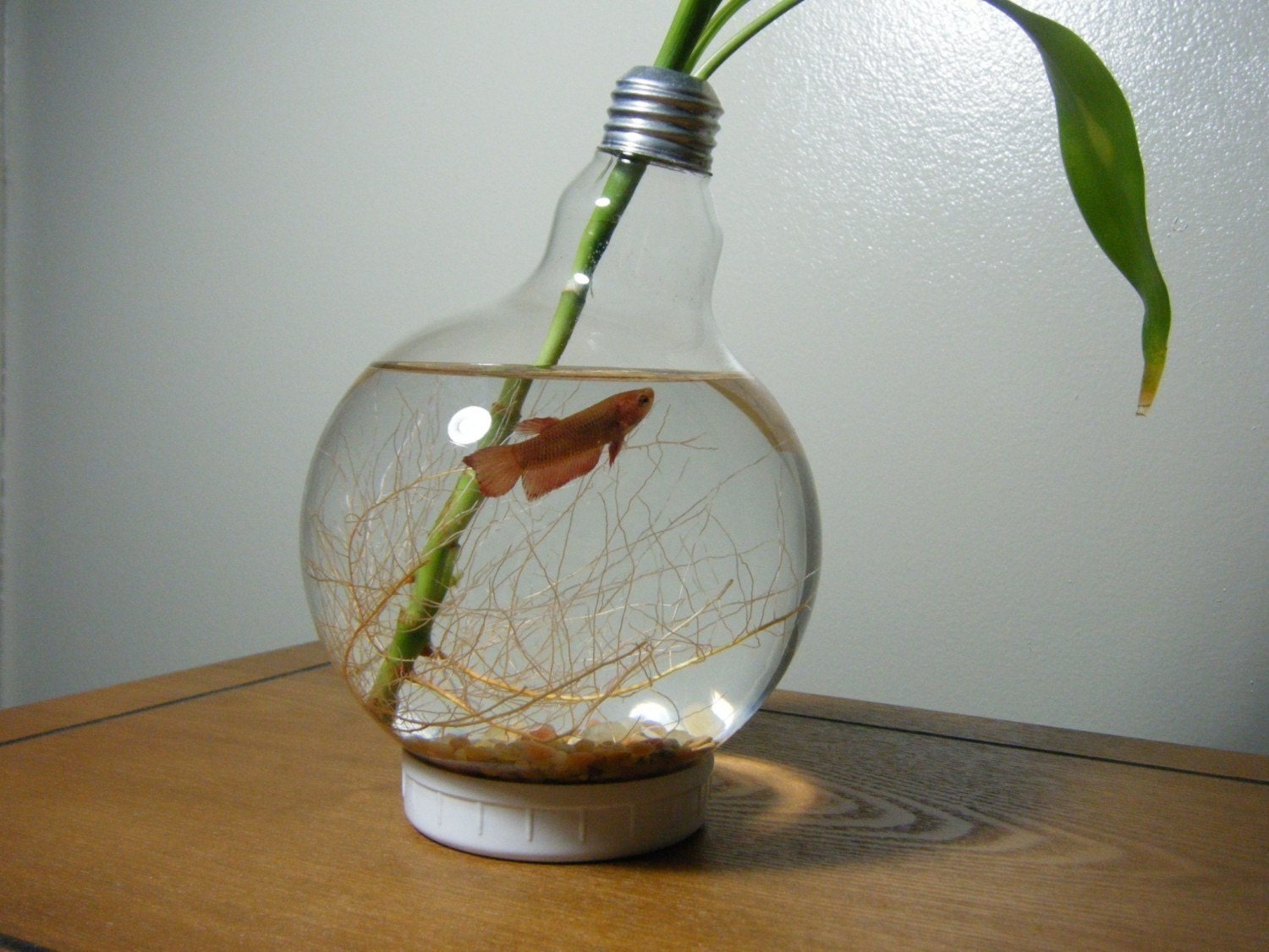 Large Lightbulb Fishbowl