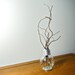 Repurposed Lightbulb Vase / Toothpick Holder (mini lightbulb)