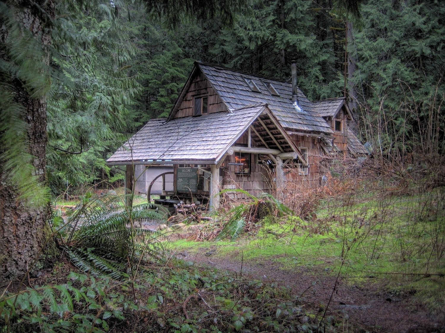 Cabin in the Woods fine art print