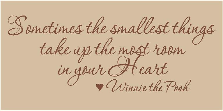 Sometimes the Smallest Things Take up the Most Room in Your Heart WINNIE THE POOH 36x14 Vinyl Wall Lettering Words Quotes Decals Art Custom